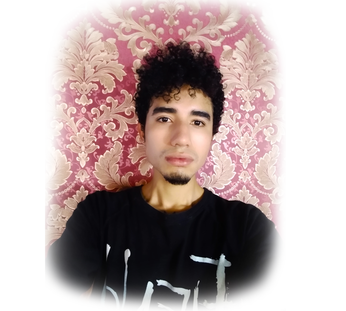 Fondo artista